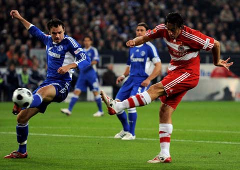 它既是我们 它既是我们